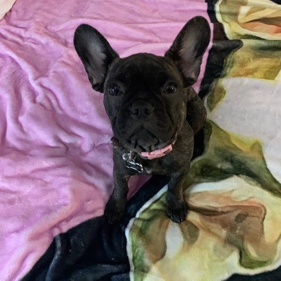 Meet your Posher, Matthew - Picture 1 of 1